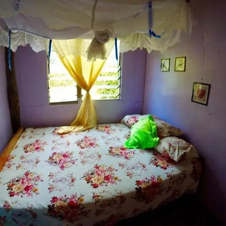 Jolame Homestay Experience Wayasewa Island Exterior photo